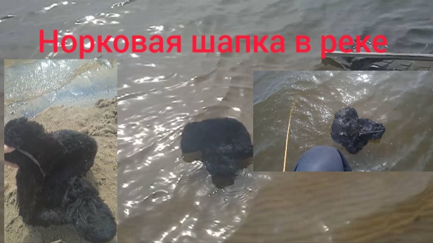 Ешë одна Норковая шапка в реке Zoouri5 mink hat sinks in the river