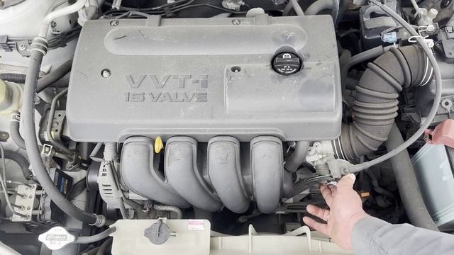 share ZZE136-0007000