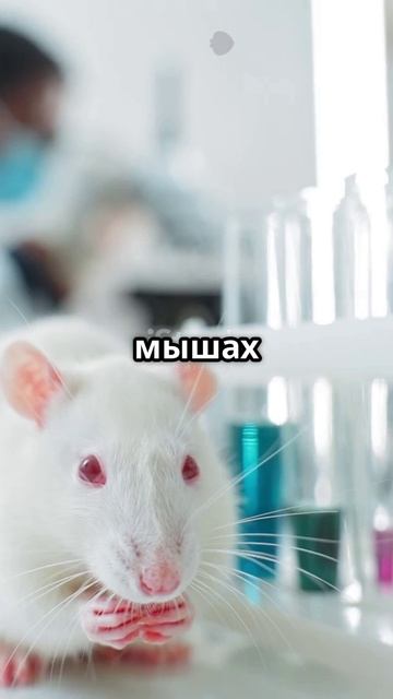 Энергетики это скрытые риски для здоровья