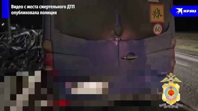 В Калмыкии микроавтобус столкнулся с фурой на встречке: 7 погибли, 11 в больнице