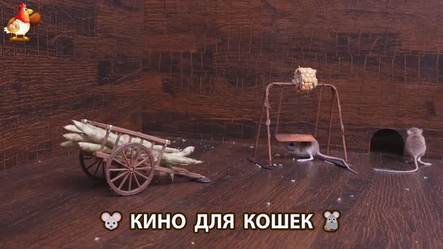 Видео для кошек про крысок развлекать питомцев 🐭🐀😂 (110)
