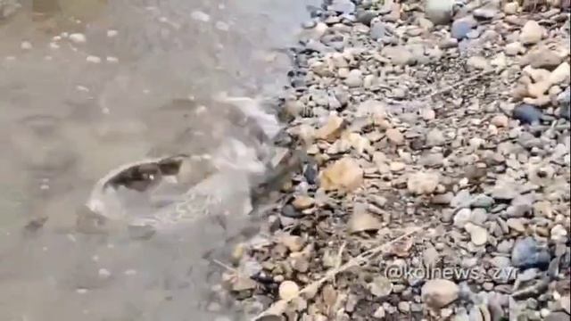 Рыбалка на налима во время ледохода