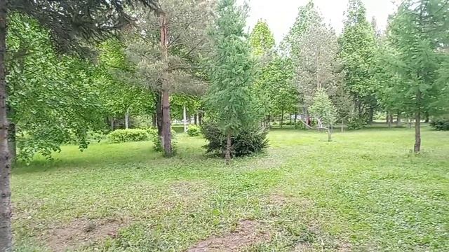 Сказочная прогулка