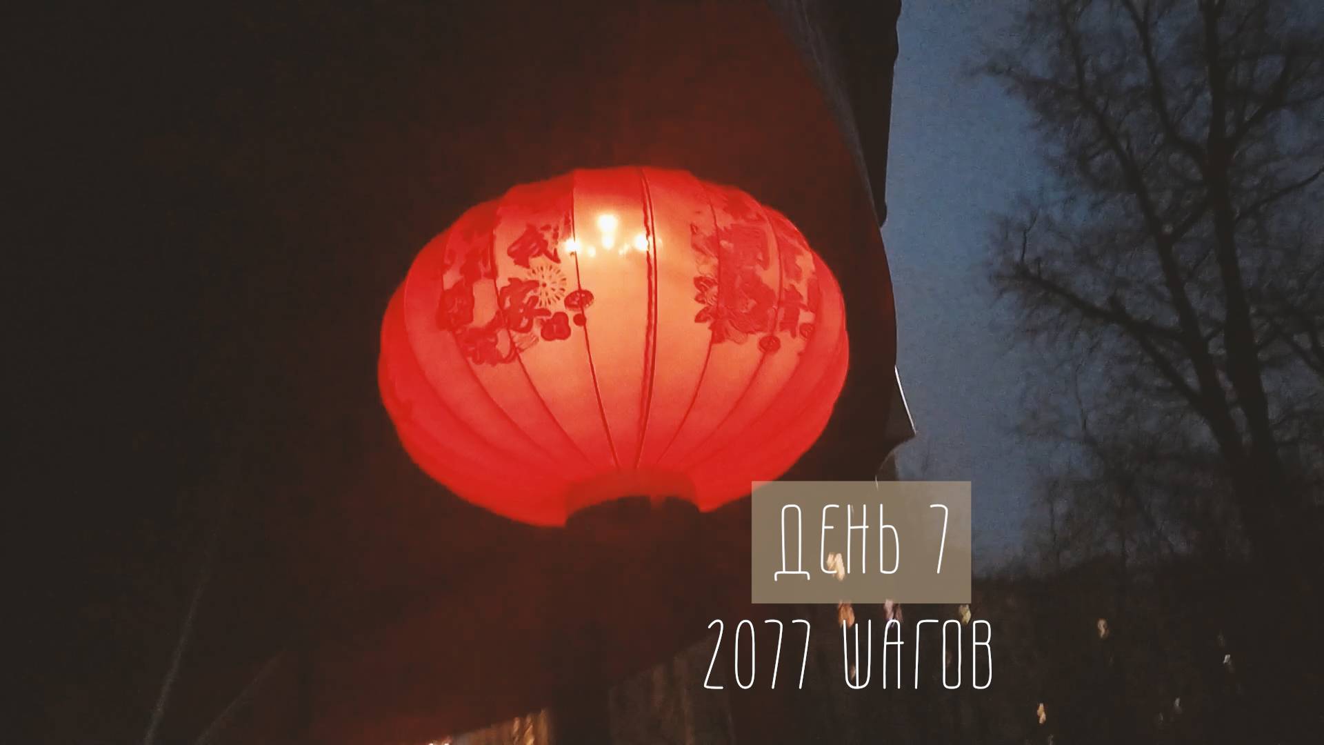 Семь перемен. 7 день. 2077 шагов