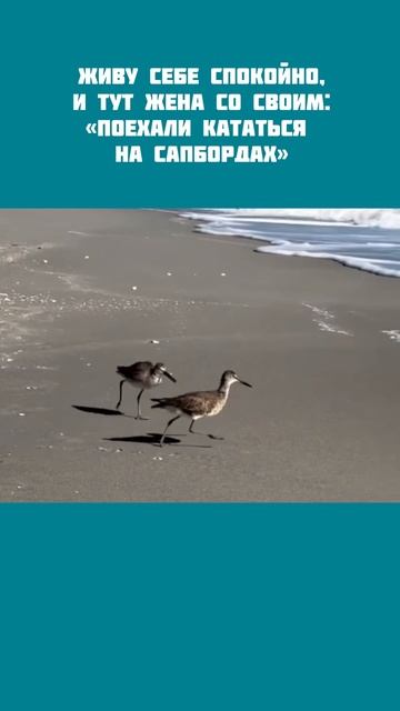 Ваша жена тоже не дает вам жить спокойно?😹