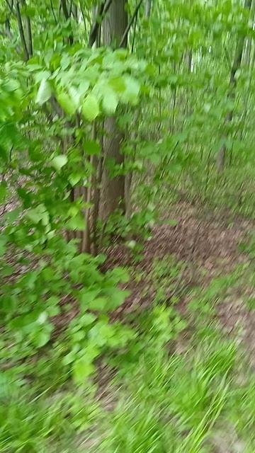 VID_20250518_110940.mp4