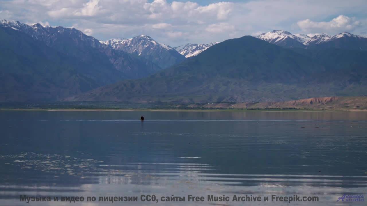 Клип, созданный искусственной нейросетью - новое слово в искусстве! - Home -- Tadz -- Soul Symphonie