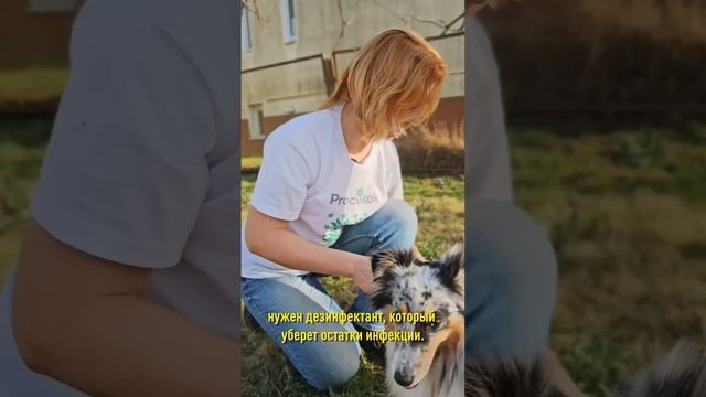 Дерево может погибнуть, если не залечите раны на стволе! Спасаем сад от рака