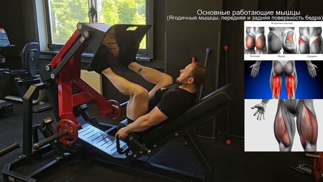 Упражнение в тренажере "Жим платформы"
