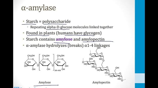 Gastroenterology - 2. GI Physiology - 5.Exocrine Pancreas atf
