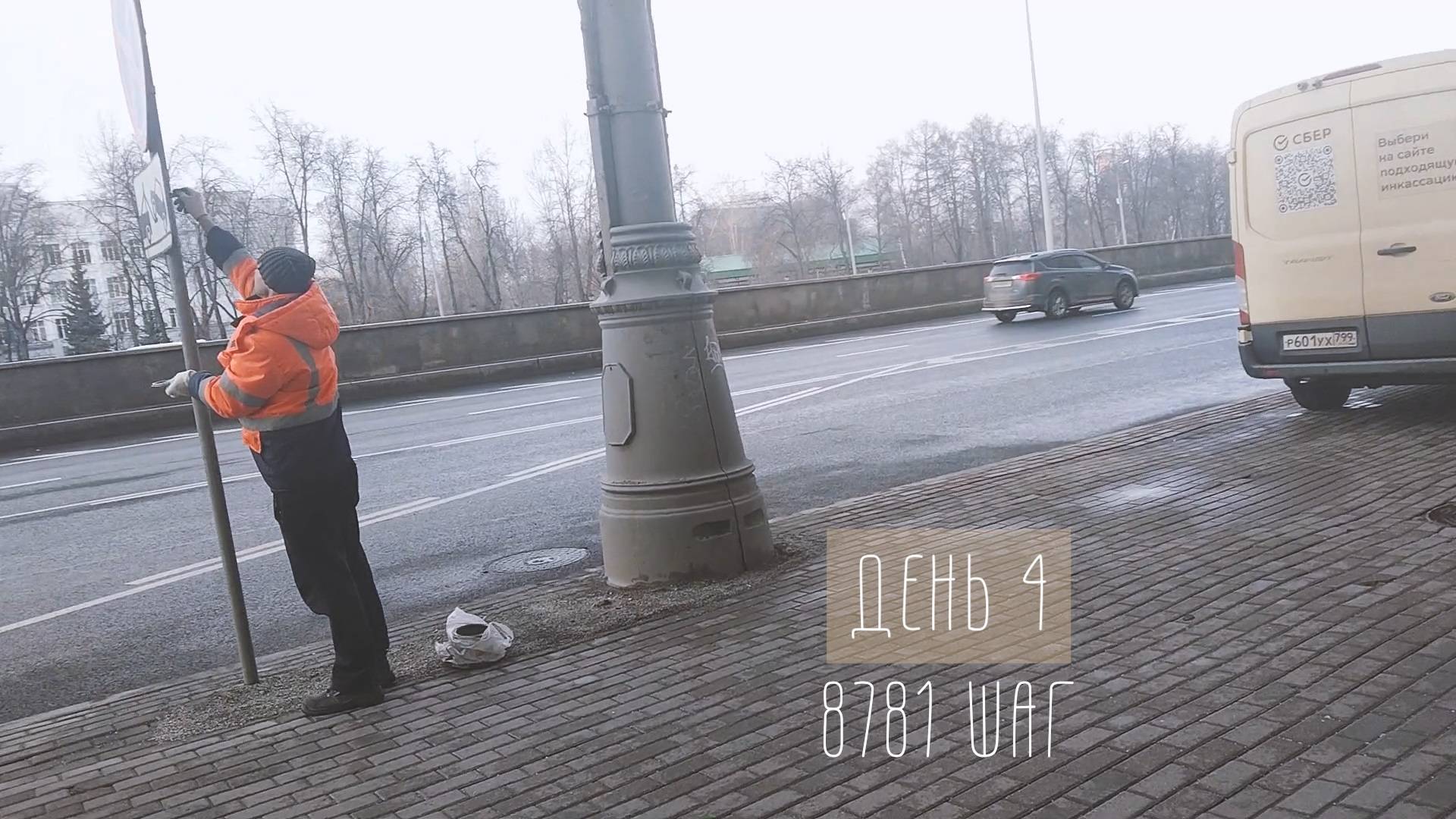 Ноги у вас есть - это хорошо. 4 день. 8781 шаг