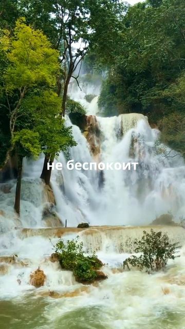 Умная фраза!