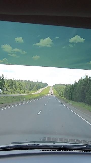 Летняя дорога #shorts #russia #россия #сибирь #лето2021