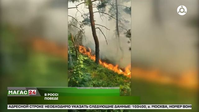 В России подняли штрафы за нарушение правил поведения в лесу