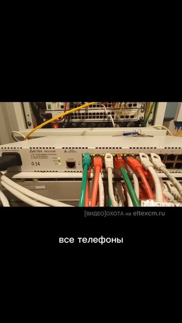 Коммутатор доступа PoE MES2428P Eltex. Видео[Охота] на eltexcm.ru