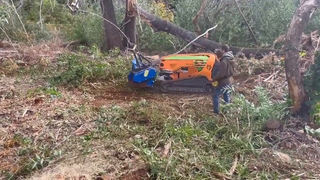Мульчер SSK130 на погрузчике Greenclimber LV600 с радиоуправлением