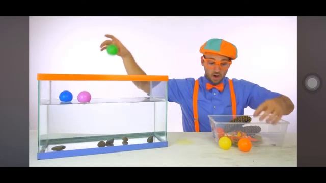 Прямая трансляция Шейкер Мейкер