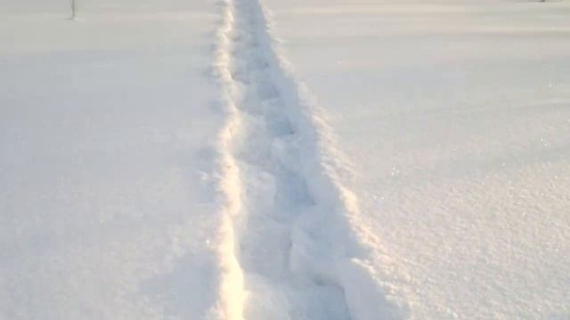 Тест снегоступов TSL 227.mp4