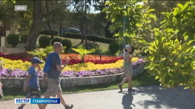 На Ставрополье задержали подростков, которые собирались напасть на полицейских