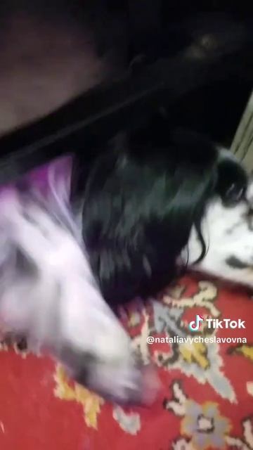 Где выход?...)))
