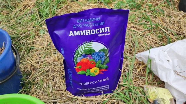 Воскресный обзор моего мобильного огорода 18 мая 2025 года.