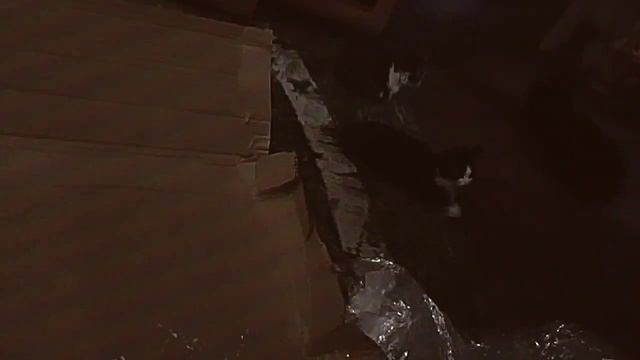 Акустическая полка на ваз 2114