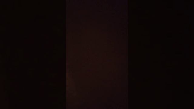 Мята в одеяле сидит!милая!