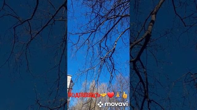 1000047236.mp4. 💃🔥ЧУДЕСА🔥💃🚀🖋️🚀🖋️🚀🖋️