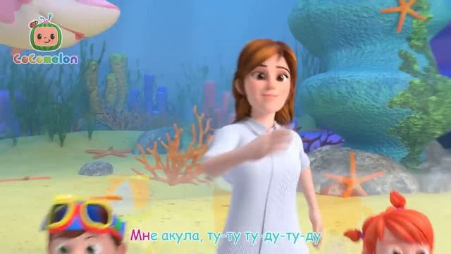 Сocomelon - Малыш-Акуленок - Новая Серия   CoComelon на русском — Детские песенки