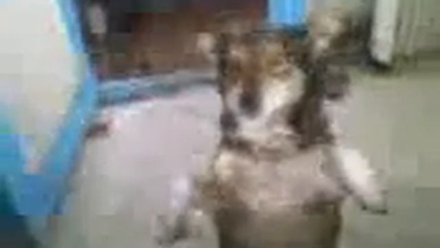 МАШКА - живая тумбочка.mp4