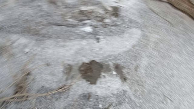 VID_20250213_163236