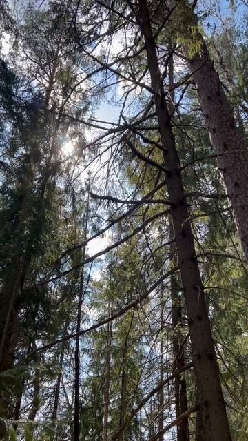 Приключенческая гонка ВятГУ | 2025