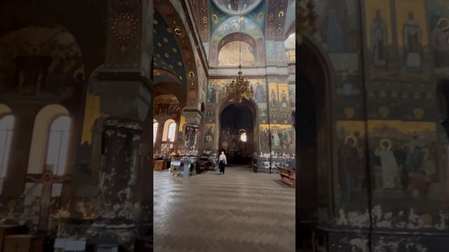 #Жако 
#Чихуахуа 
#Сочи 
#Жизнь Сочи 
#Животные Сочи 
#Природа Сочи 
#Кайф Сочи 
#Василиса
Ставь 👍