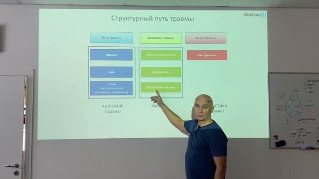 Как работает кинезиолог?