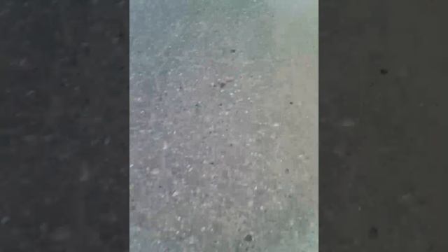 VID_20250518_123806.mp4