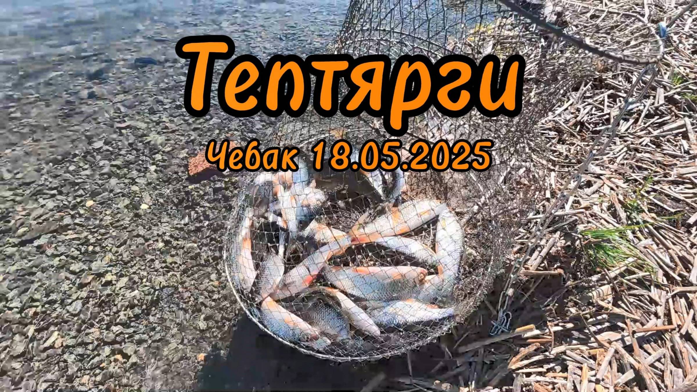Летняя рыбалка 2025 Тептярги Ловля Чебака Фидер
