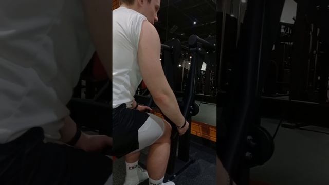 Отведение плеча в сторону сидя в блочном тренажёре, ак