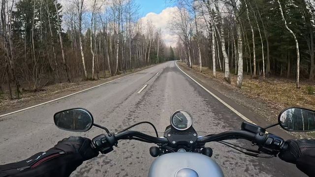 Harley Davidson Sportster XL1200N POV Кленово