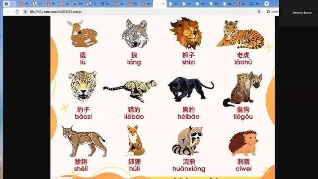 Китайский с нуля.  Животные и звери на китайском языке.