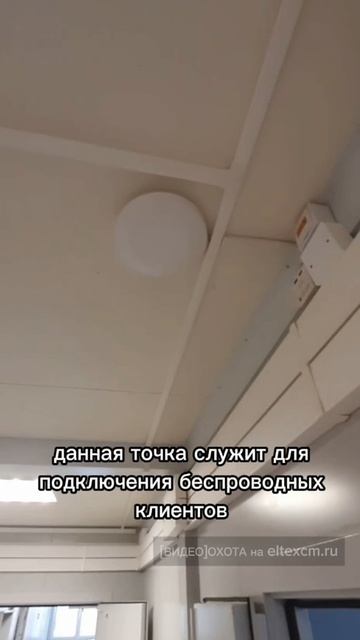 Точка доступа WEP-2ac Eltex. Видео[Охота] на eltexcm.ru