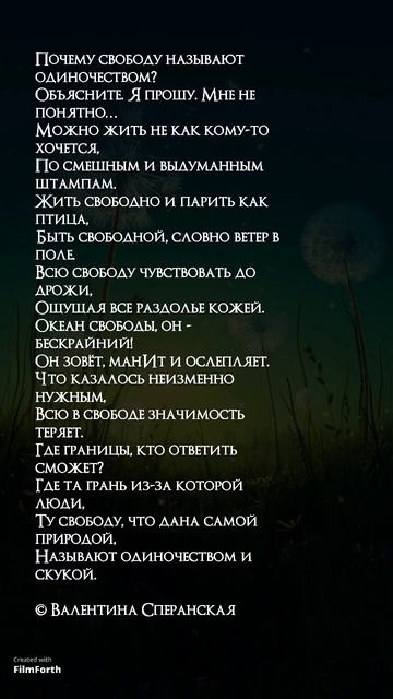 «Почему свободу называют одиночеством?» В. Сперанская #стихи #поэзия #poetry #shorts #сперанская