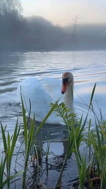 VID_20250519_104511_336.mp4