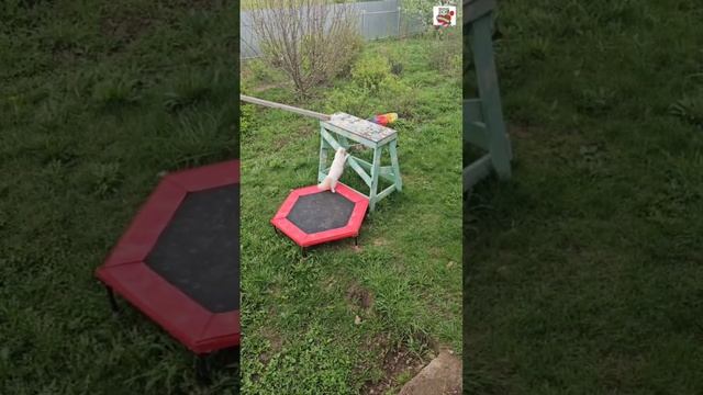 Настюня сидела скучала и не знала чем заняться 🌞❤️😽