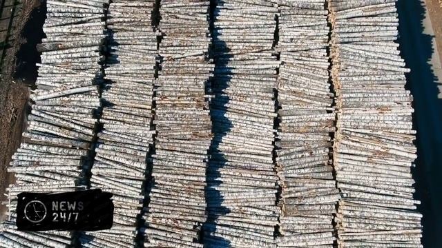 Глава минсельхоза Японии не уйдет в отставку после слов о подаренном рисе