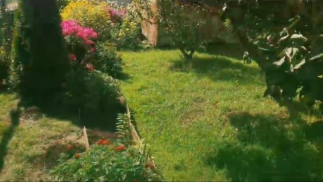 VID-20250418-WA0004