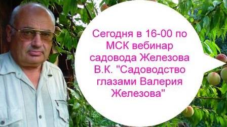 Вебинар Валерия Железова №340