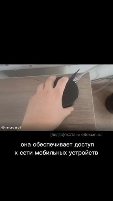 Точка доступа WEP-1L Eltex. Видео[Охота] на eltexcm.ru