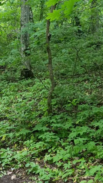 По лечебному терренкуру в Железноводске