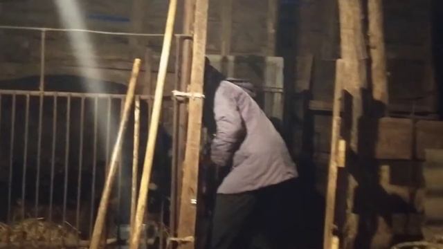 Вернулась домой. Я не верю, что мне 50...