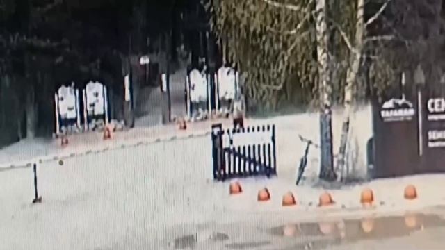 В Челябинской области велосипедист камнем ударил по голове инспектора парка